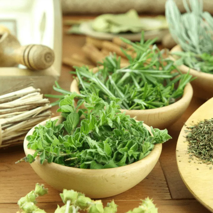 Fitoterapia Recreio dos Bandeirantes RJ