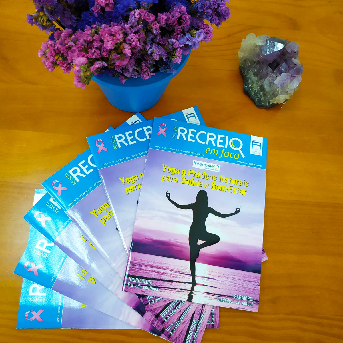 revista-recreio-em-foco-outubro2019-integralle Revista Recreio em Foto Integralle